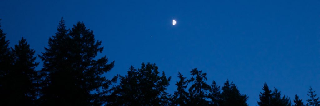 kaylee_dial's profile banner image