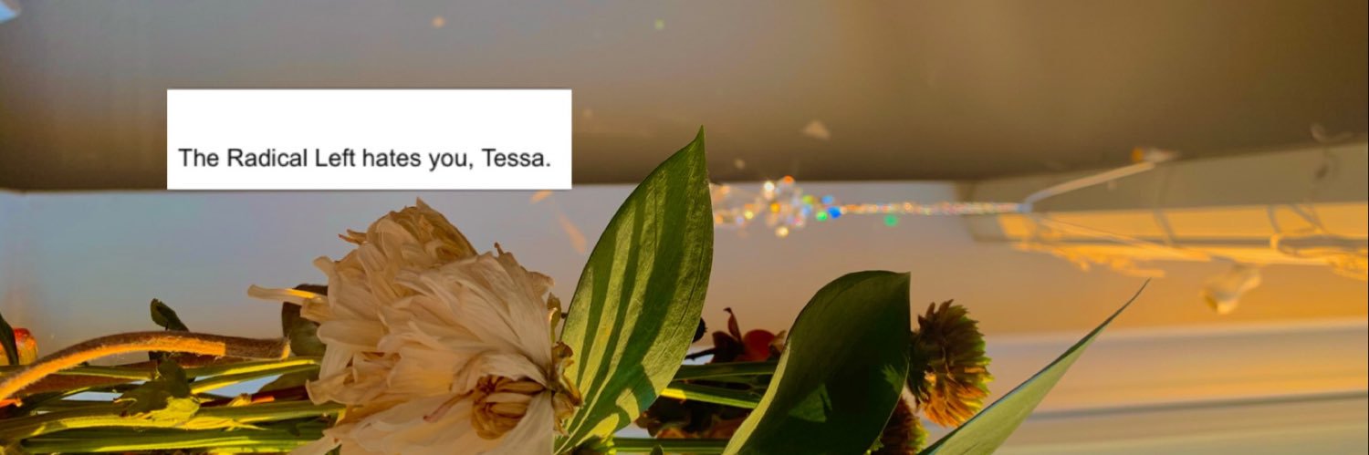tessagrotz's profile banner image