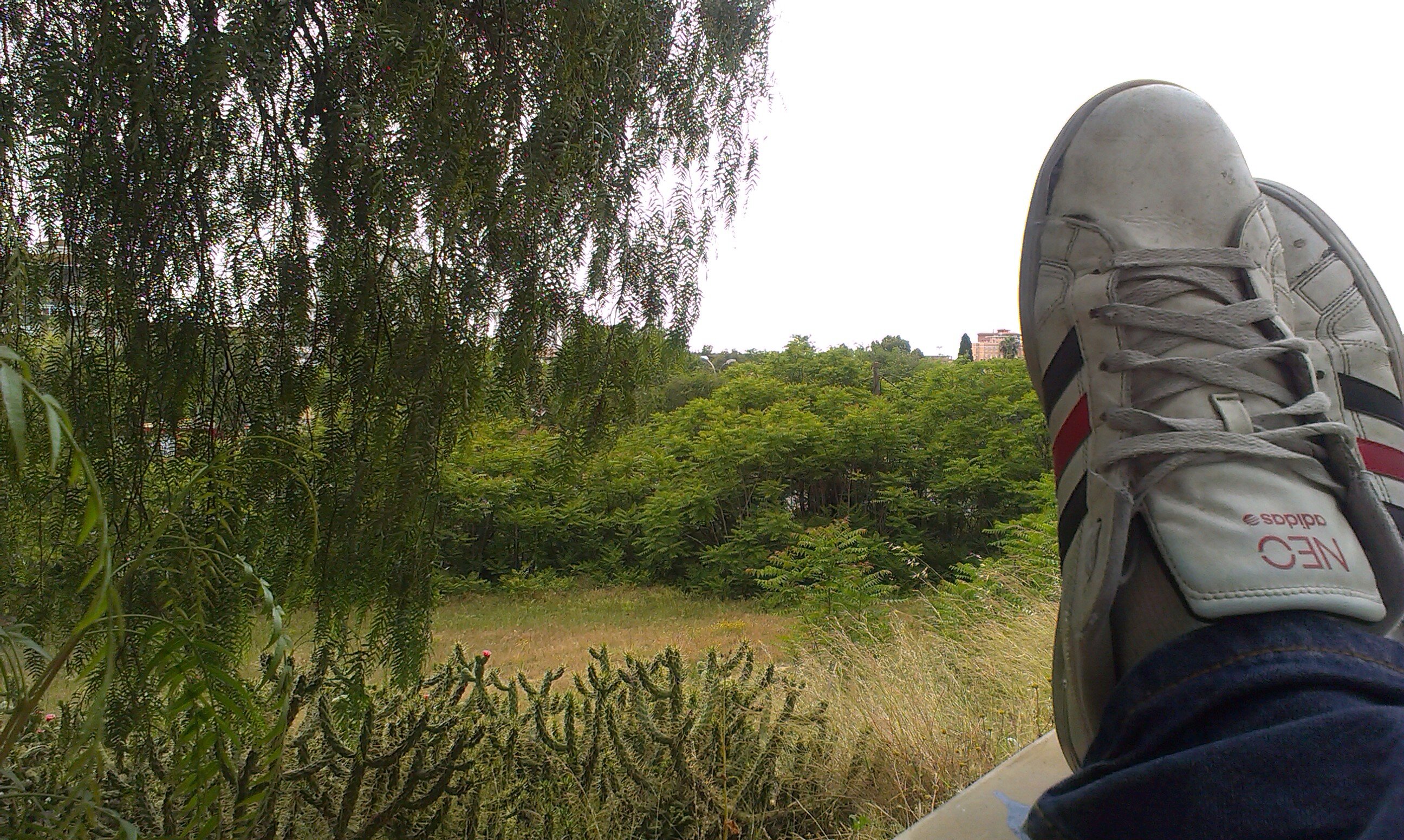 Jose Malvárez banner