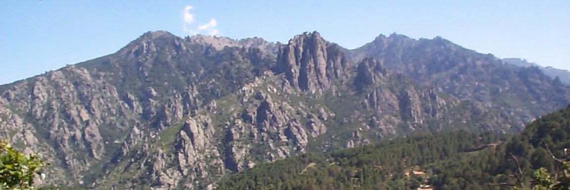 Emma Cervetti banner