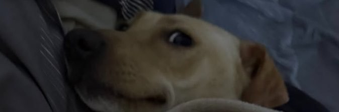 AntunezMagali's profile banner image