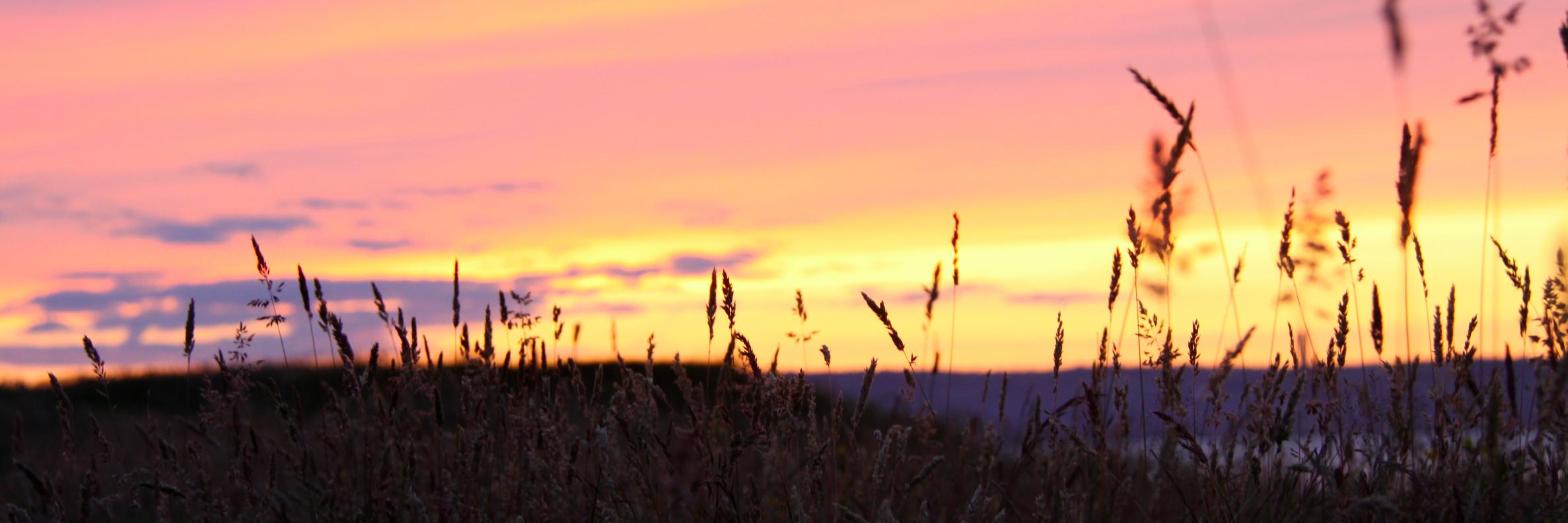 Richard Martin banner