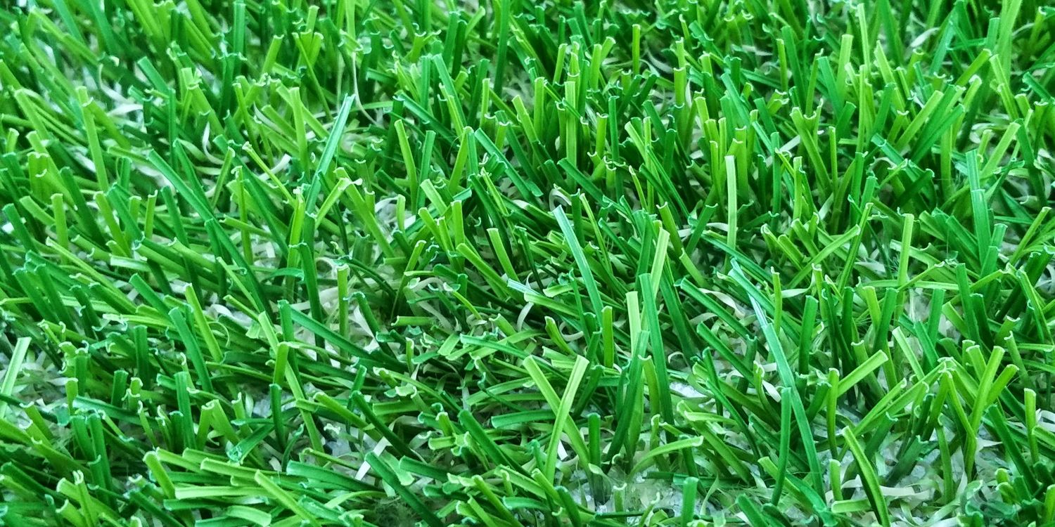 Turfcrashers's profile banner image