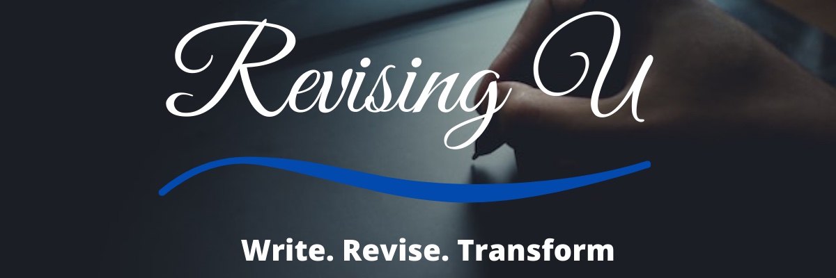 Lisa Cooper Ellison banner