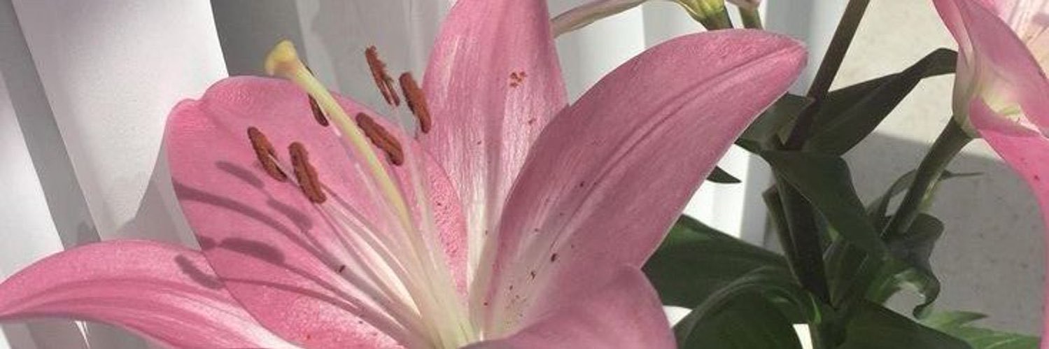 ‏᷂طيف ၴႅ ꫂ banner