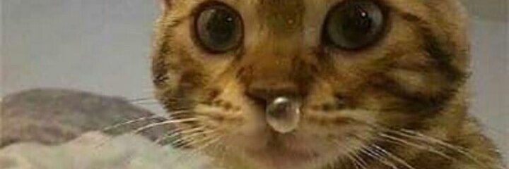 cacu___'s profile banner image