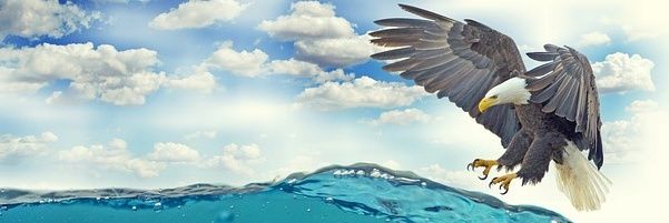 BBueno96's profile banner image