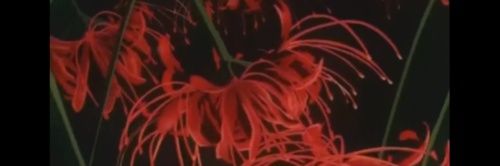 B_Alley's profile banner image