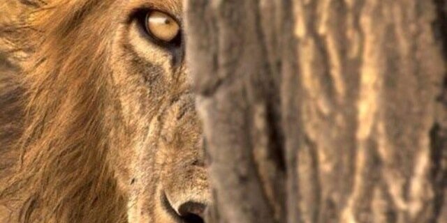 srlemus88's profile banner image