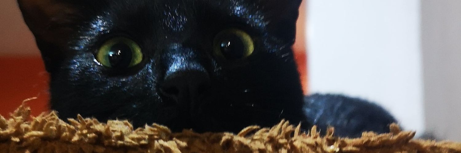 lulumndz's profile banner image