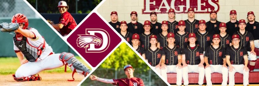 Davies Baseball's banner