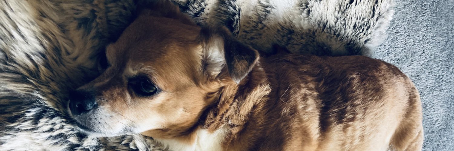 LauraJayne78's profile banner image