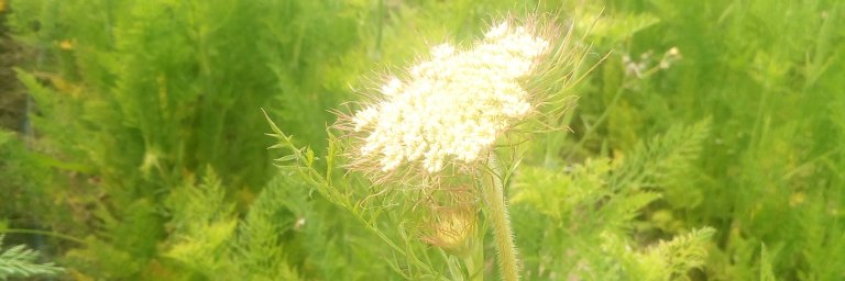 agroecologic's profile banner image