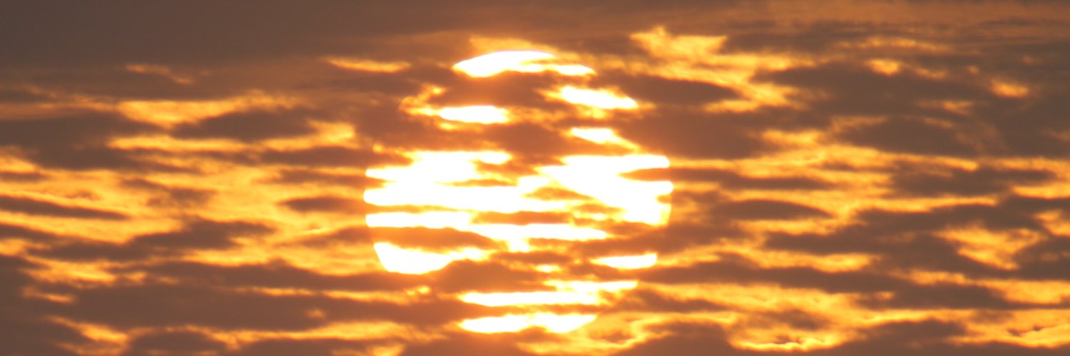 Sol Damerval banner