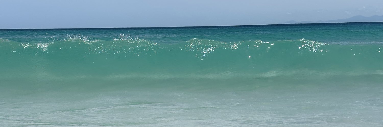 Florrsosaa's profile banner image