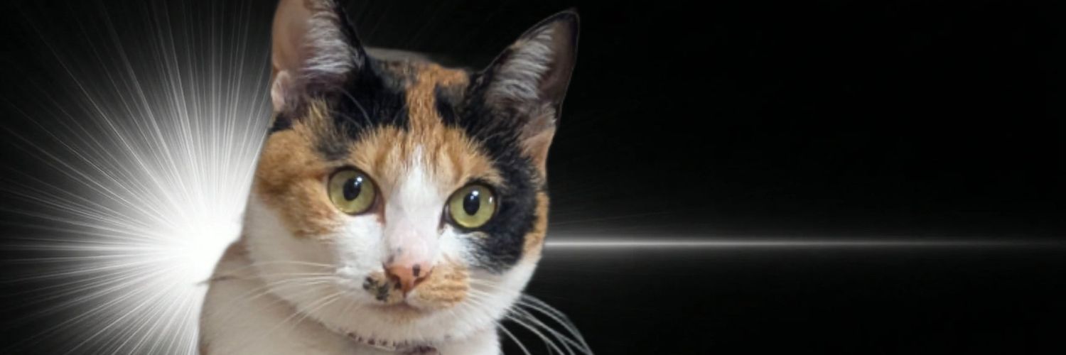 candy3103's profile banner image
