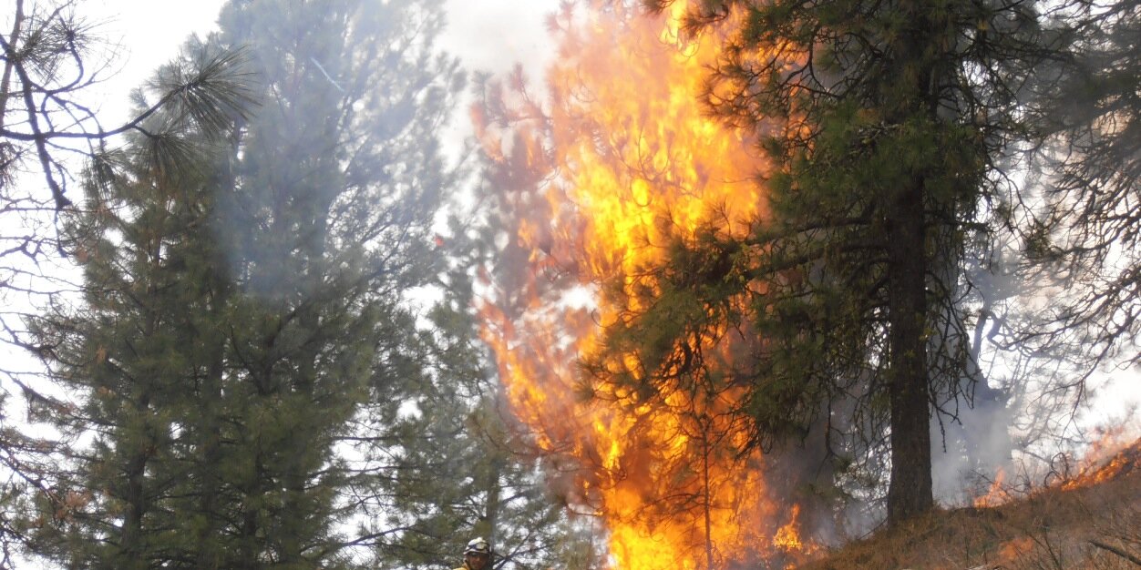 Alex_firetec's profile banner image