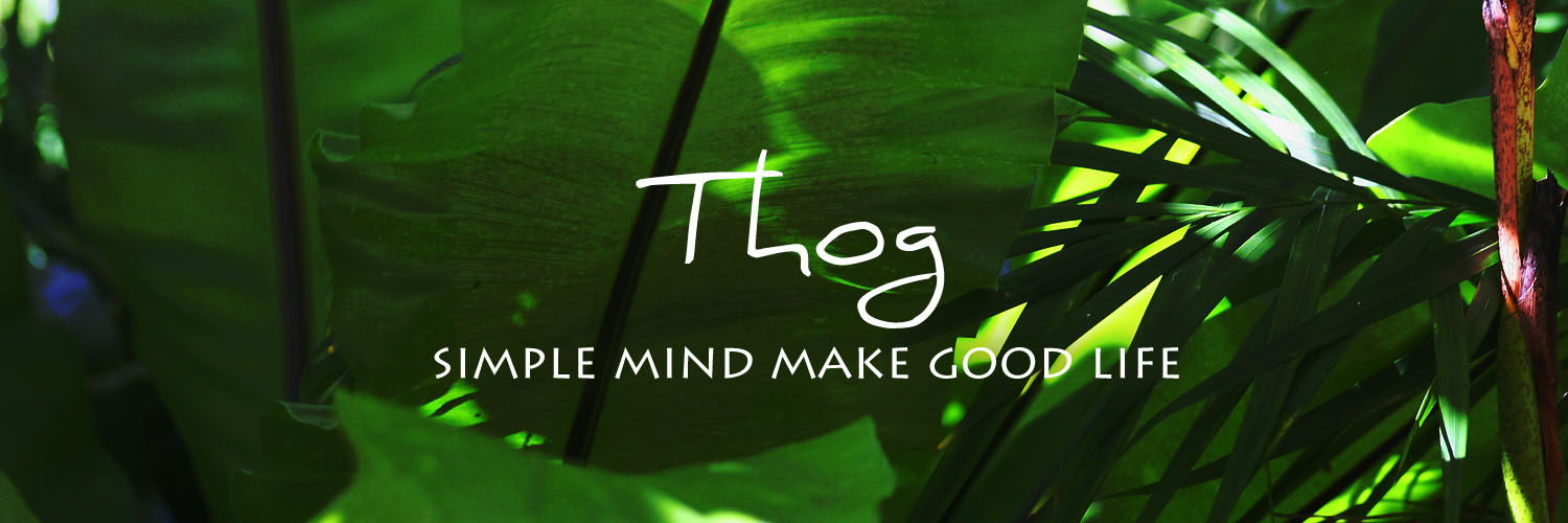 Thog banner