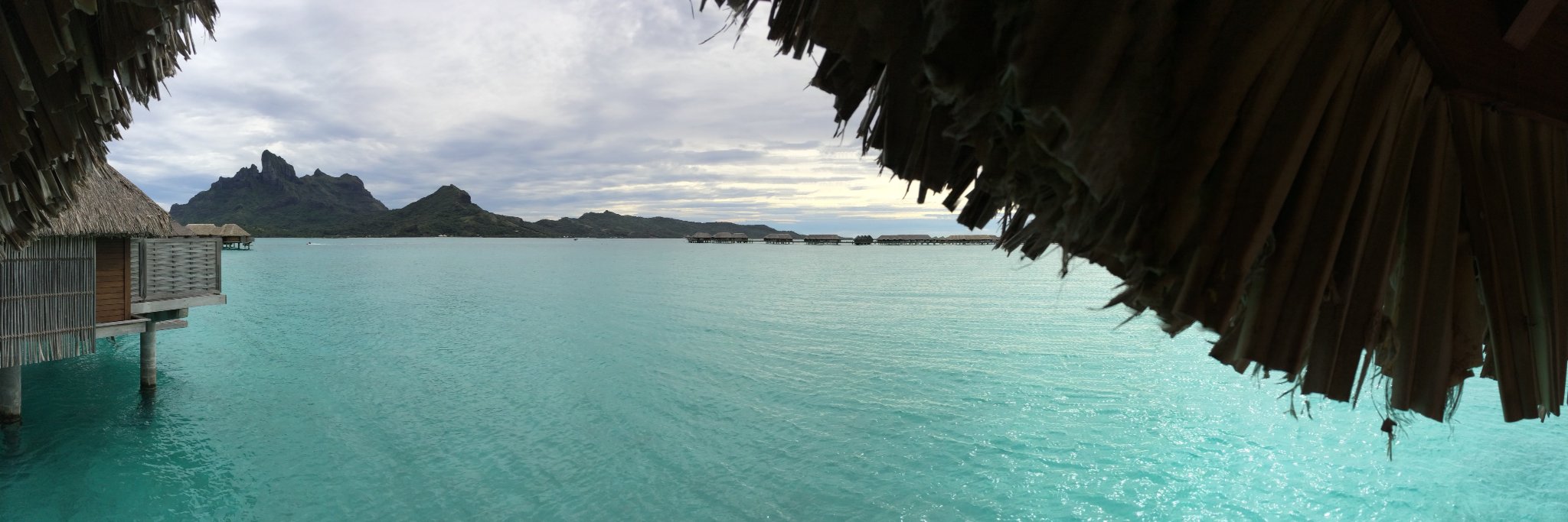 Matthew Tutton banner