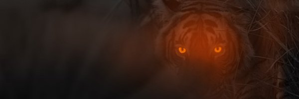 Coach_Peavey Profile Banner