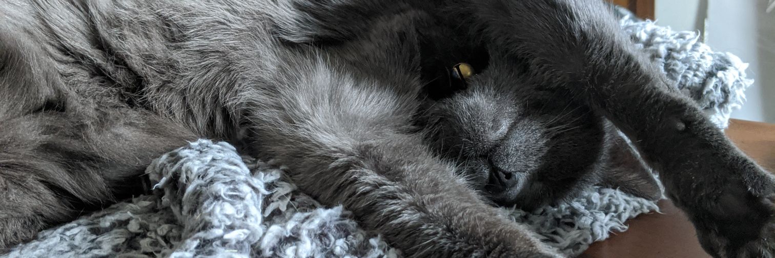 SleepingLionHeart banner