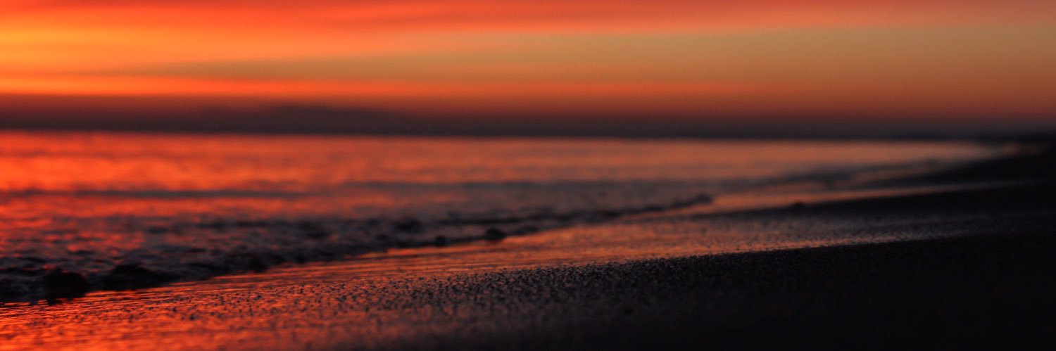 MorganAnn987's profile banner image