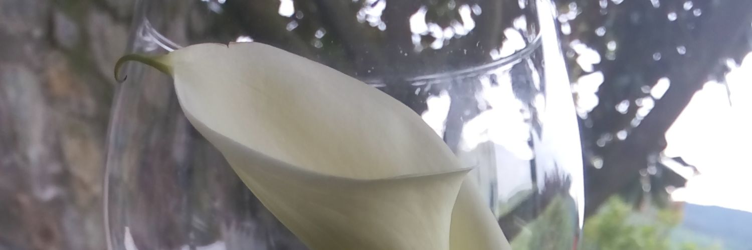 argizeta's profile banner image