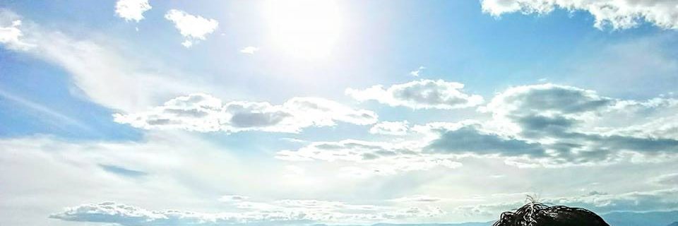 HOSCARINN's profile banner image