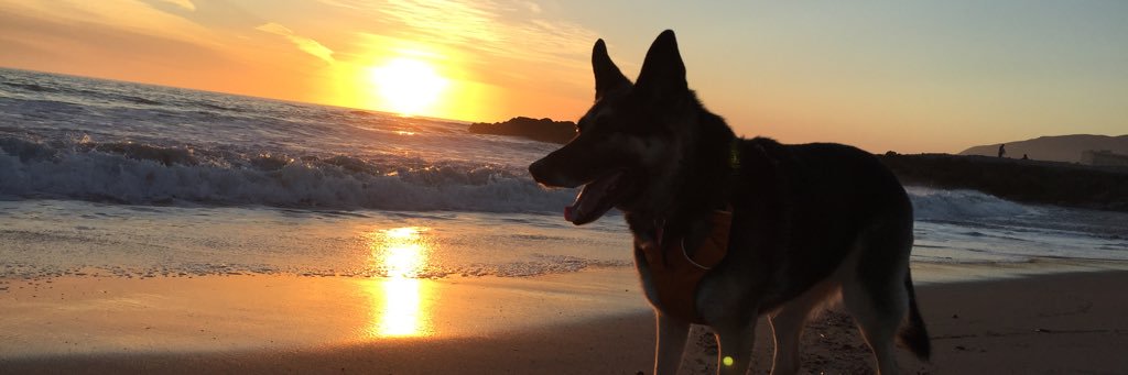 nrpallotta's profile banner image