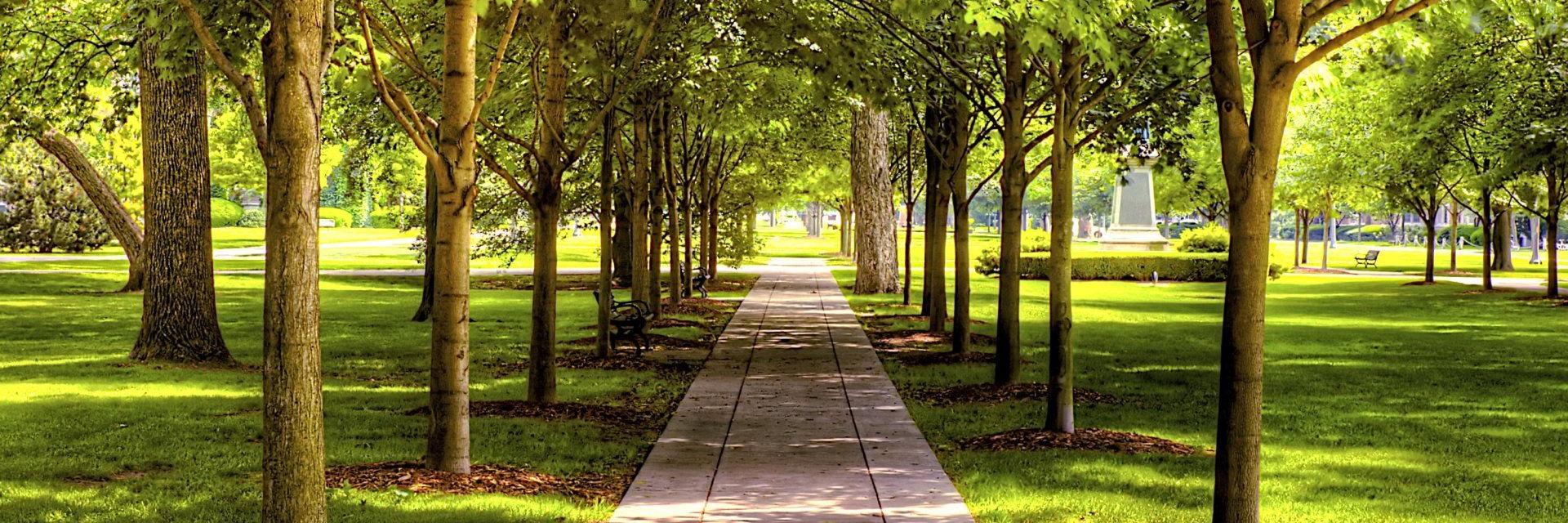 Henrique Batista banner