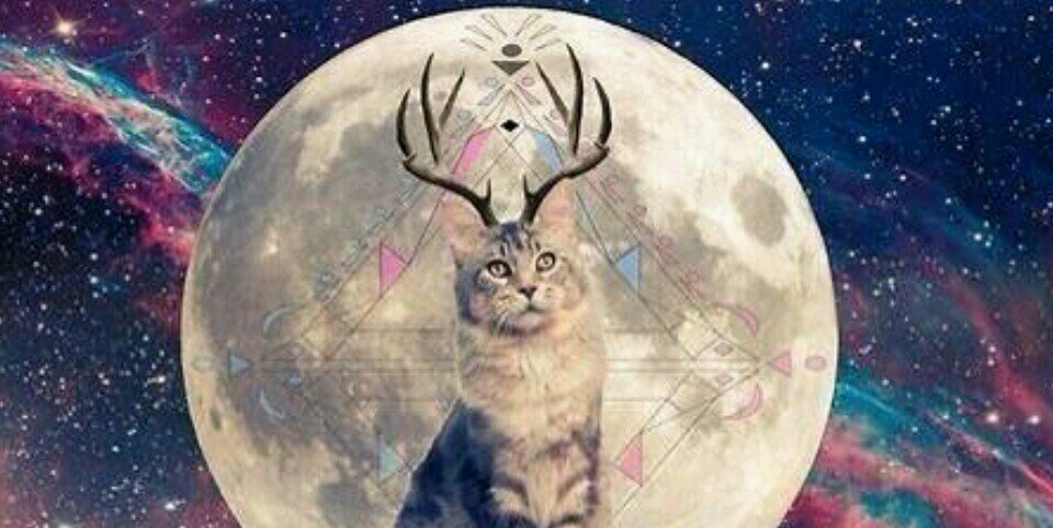 Spacekeek banner