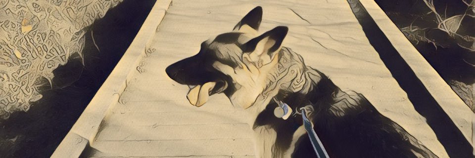 playingblacksax's profile banner image