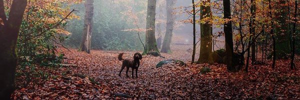 FKB_Photo Profile Banner