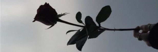 Linds_Lara's profile banner image