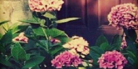 MohamedJod's profile banner image