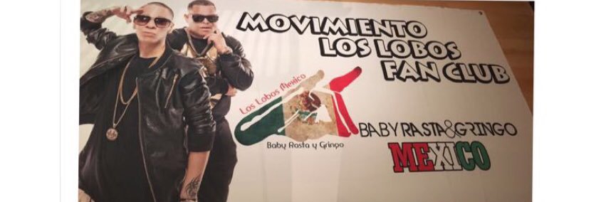 LosLobosMexDF's profile banner image