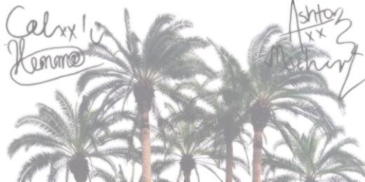 alwaysagnes's profile banner image