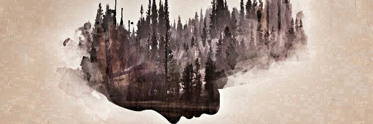 MerveBoydag's profile banner image