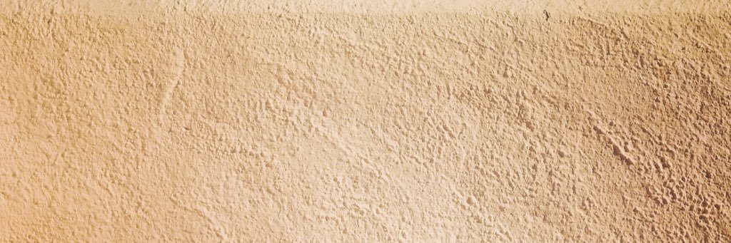 evoluption's profile banner image