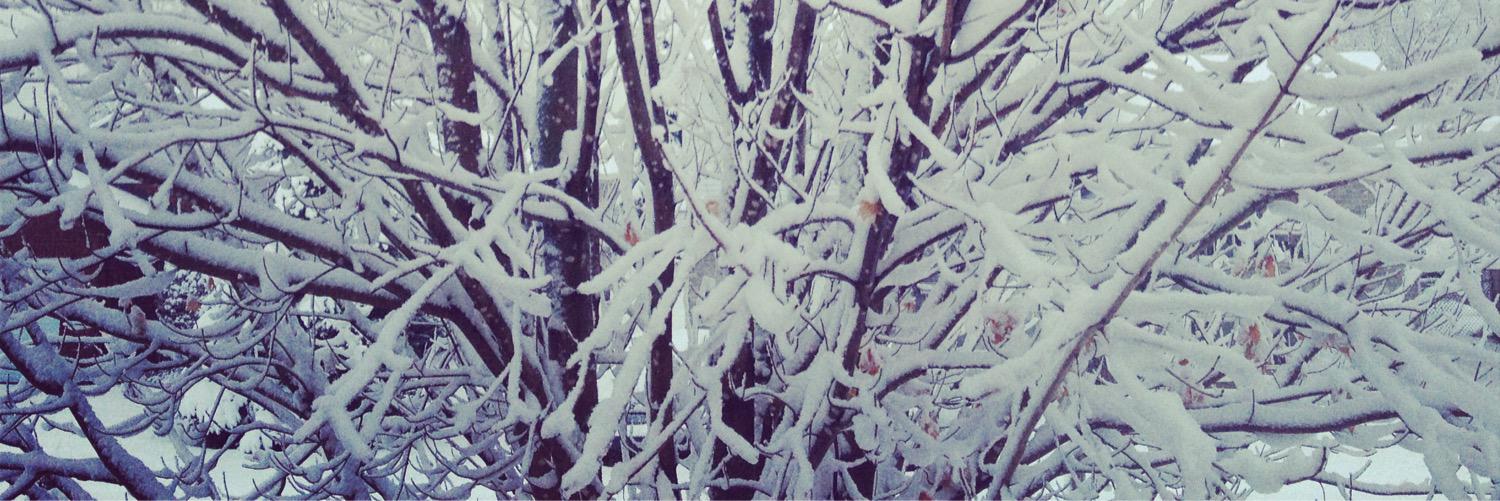 jusdonb's profile banner image