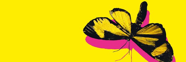 sarahzerback Profile Banner