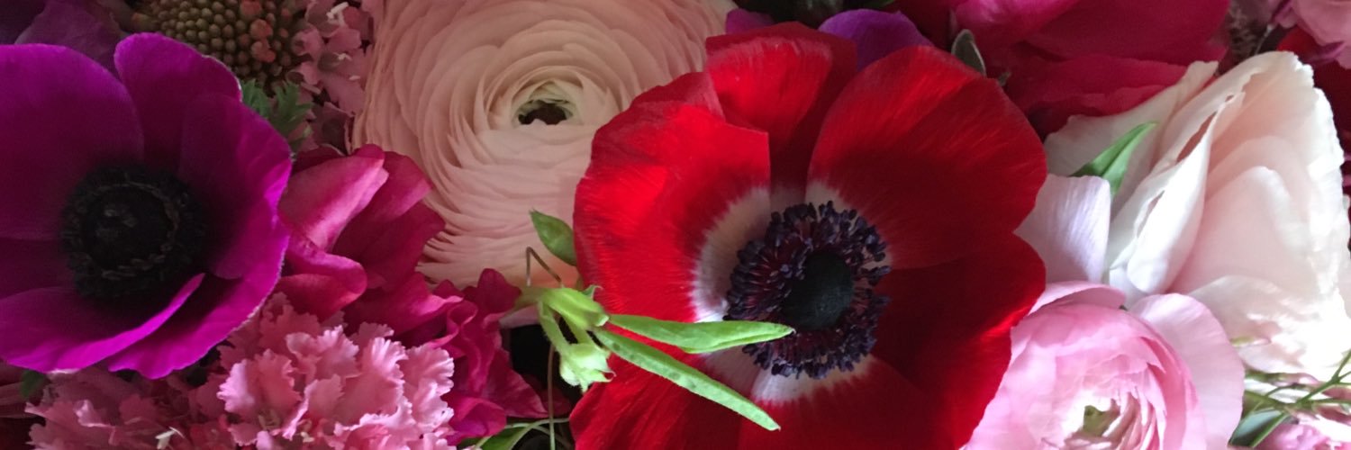 Neda Tootoonchi banner