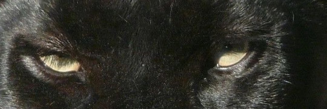FrankoGiles's profile banner image