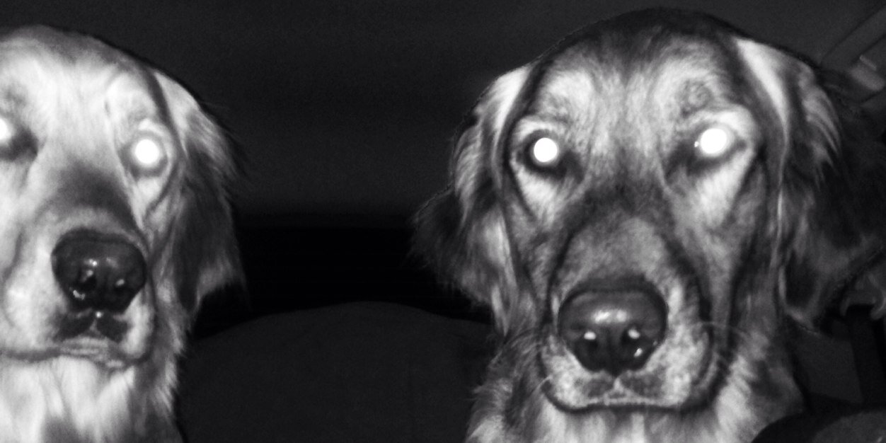 TIDHOZ's profile banner image