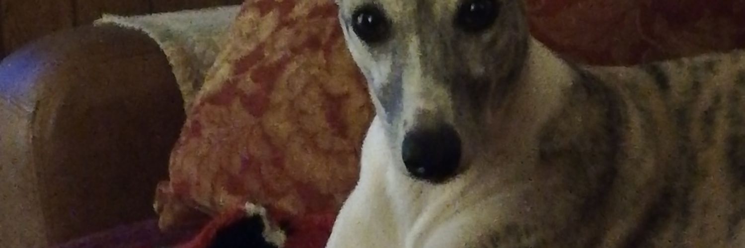 John 🏴󠁧󠁢󠁥󠁮󠁧󠁿🏴󠁧󠁢󠁳󠁣󠁴󠁿🏴󠁧󠁢󠁷󠁬󠁳󠁿 banner