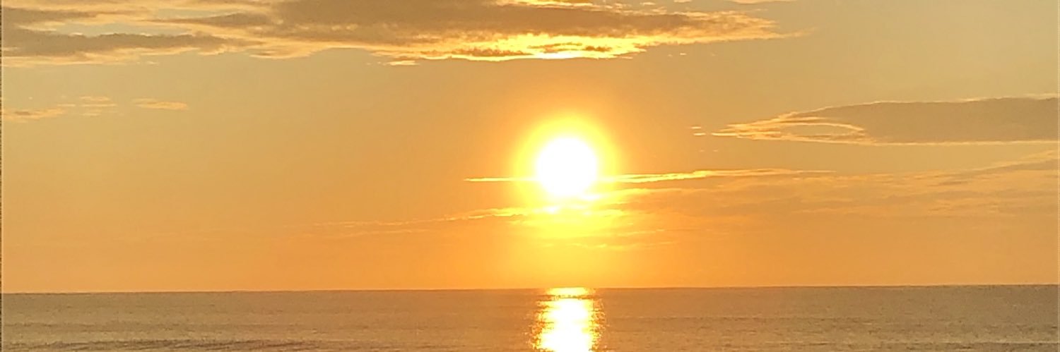 DaveDrago1's profile banner image