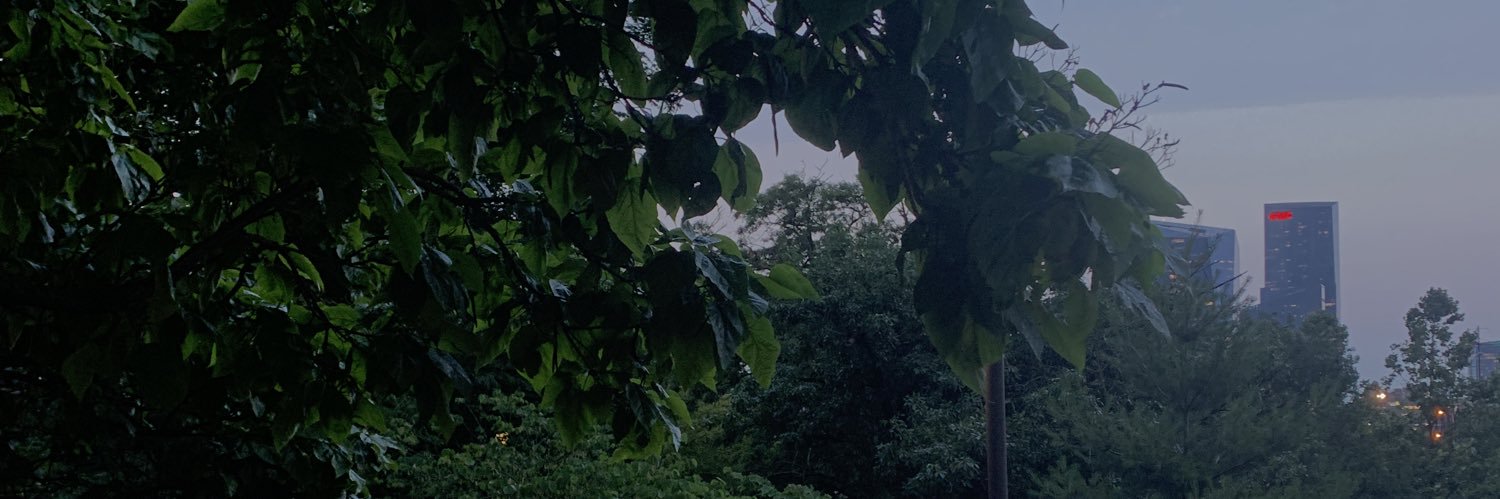allisondrake_'s profile banner image