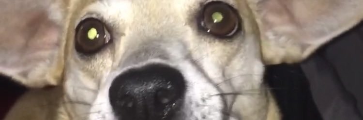 bbeccccaaa's profile banner image