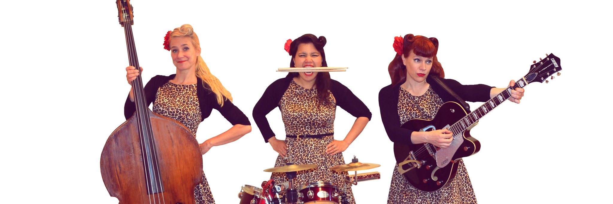 Flageolettes's profile banner image