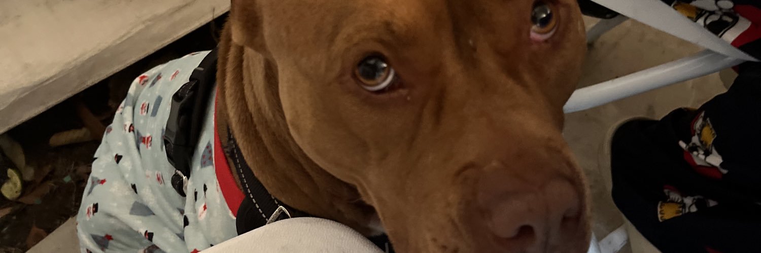 sonpetess's profile banner image